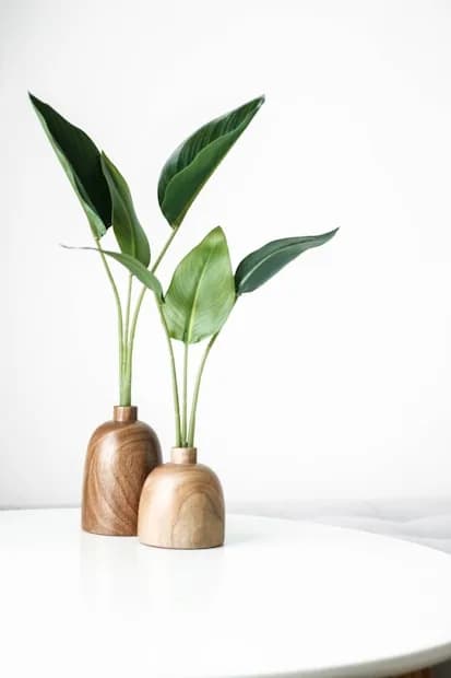 Bamboo & Cane Made Tricycle Showpiece With Detachable Bucket