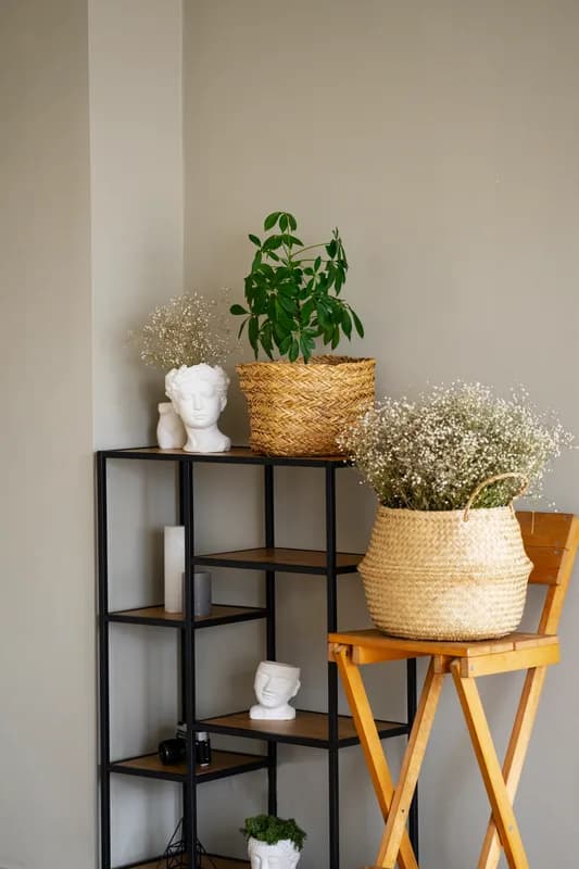 Popular Home Decor
