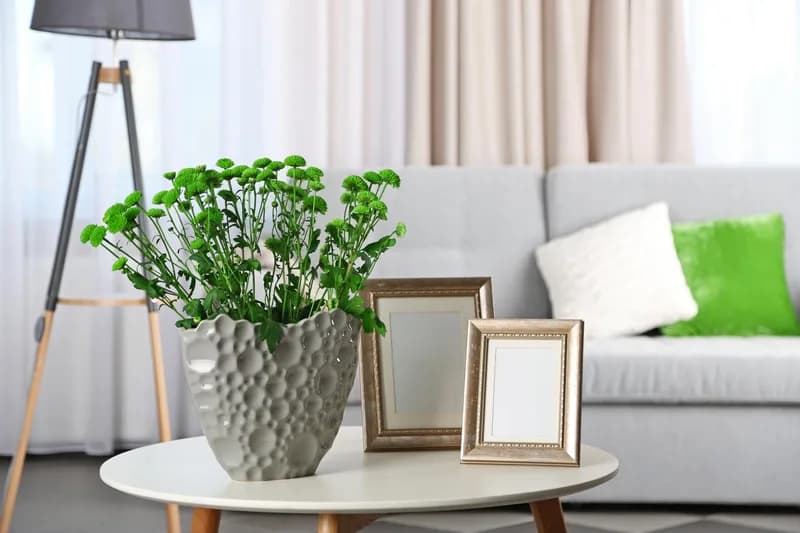 Home Decor & Gardening