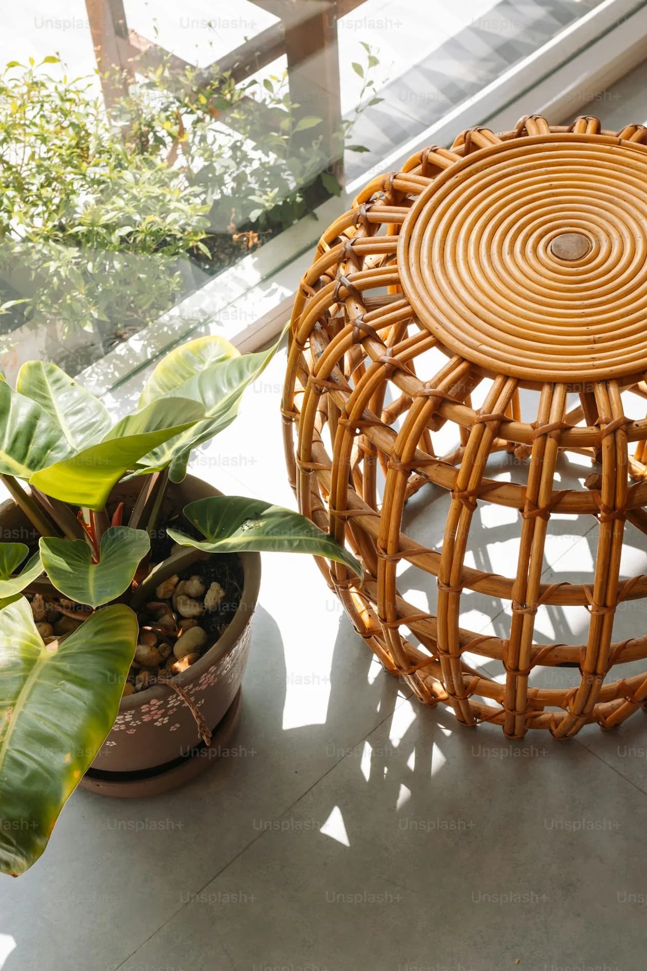 Furniture Collection